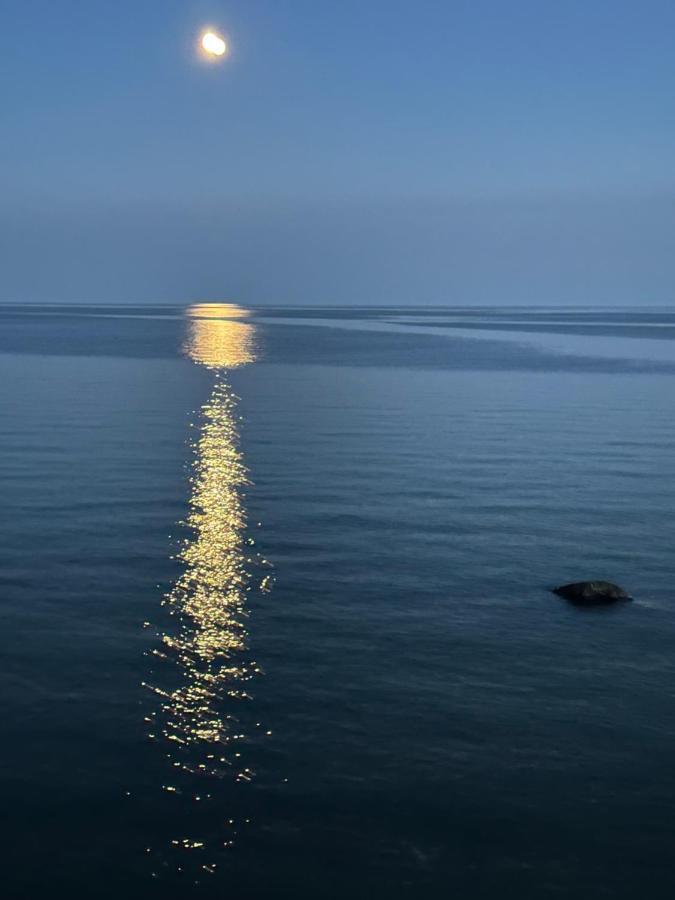 The Wind In The Willows - Luxury Lakefront Oasis Bed & Breakfast โคเบิร์ก ภายนอก รูปภาพ